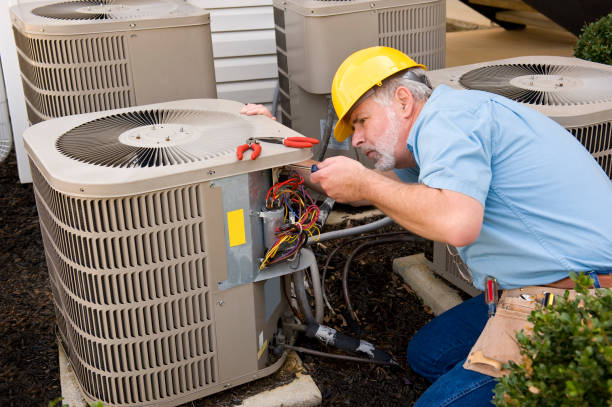 Best HVAC air duct cleaning  in Timberville, VA